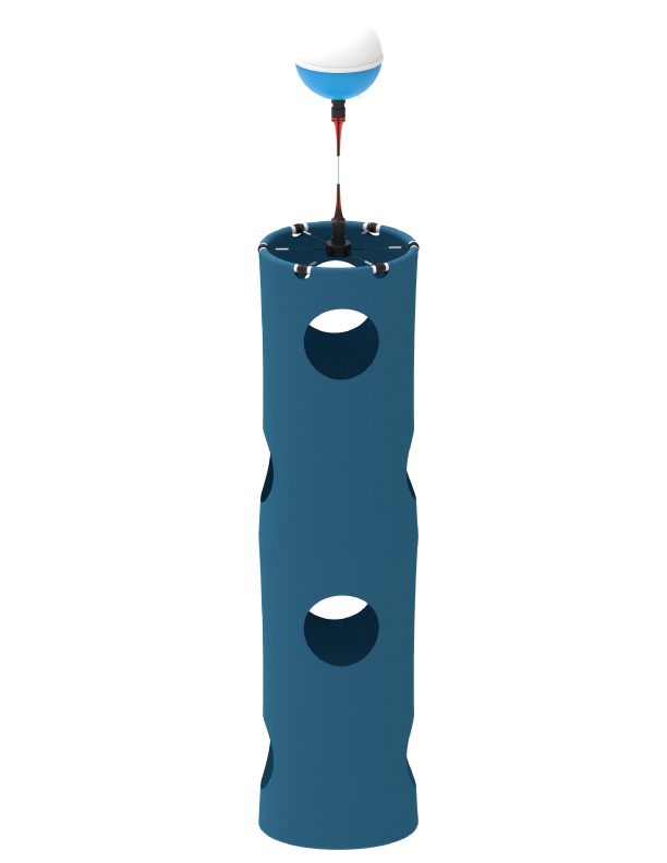 SVP Drawing
